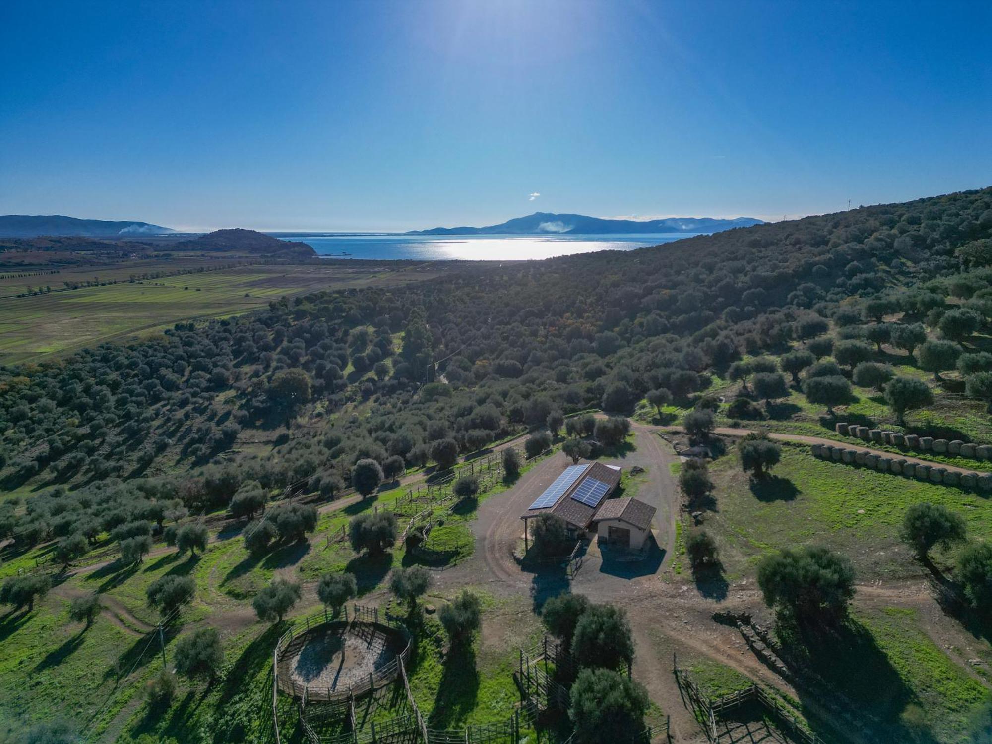 Agriturismo Buratta Fonteblanda Εξωτερικό φωτογραφία