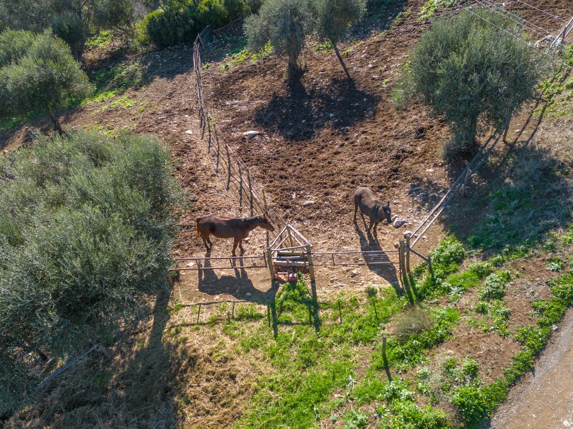 Agriturismo Buratta Fonteblanda Εξωτερικό φωτογραφία